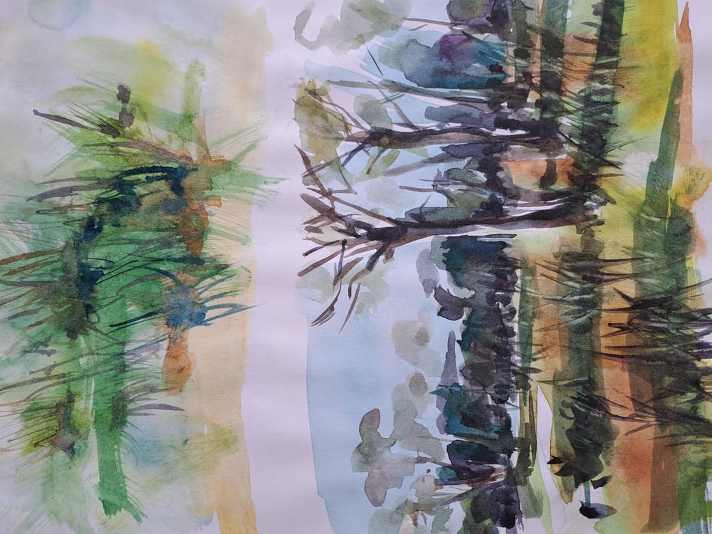 Grass and rocks - image 2 - student project