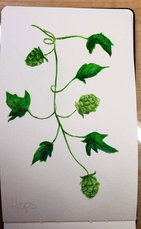 Watercolor Greenery - image 2 - student project