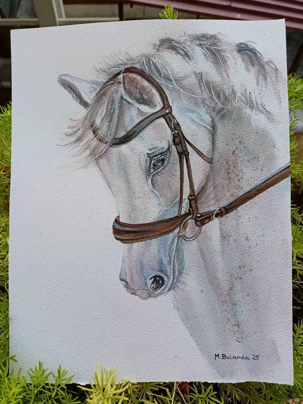 Konik - image 2 - student project