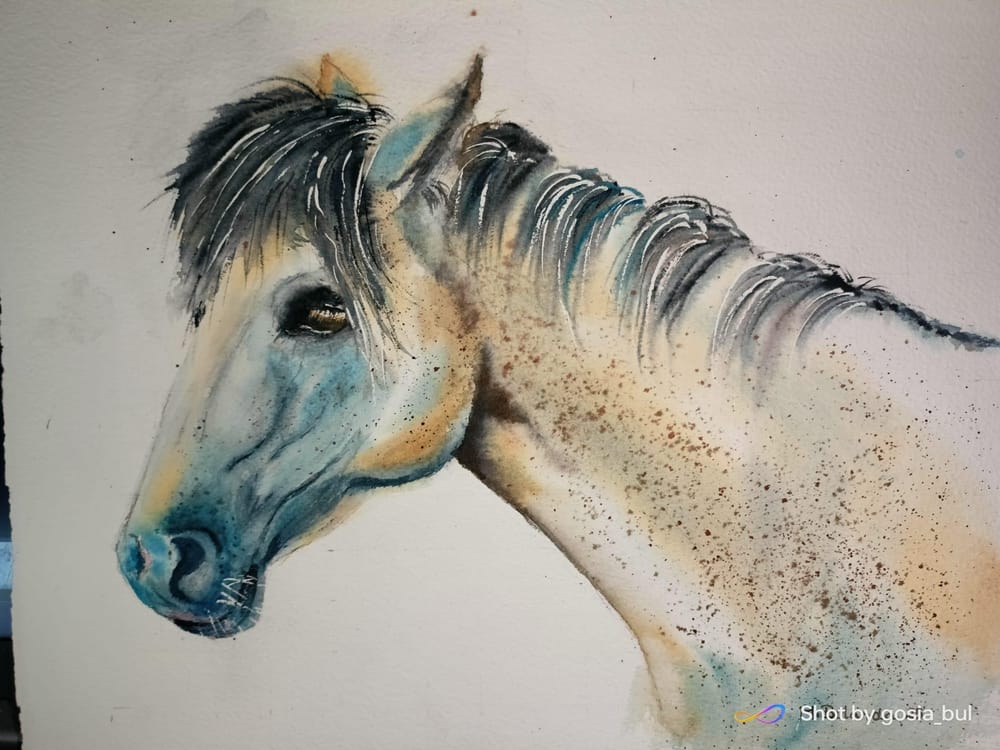 Konik - image 1 - student project