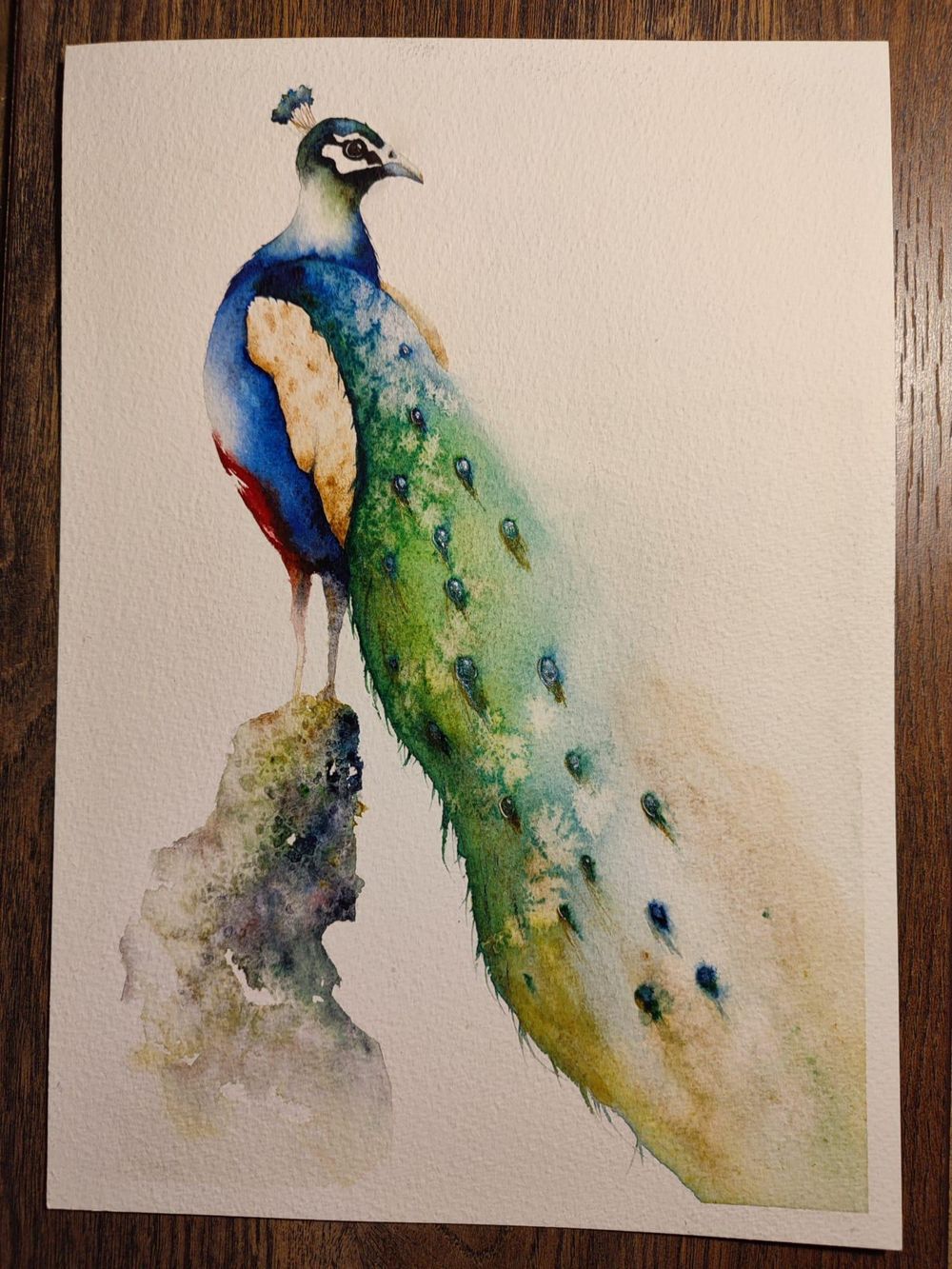 My peacock Skillshare Student Project