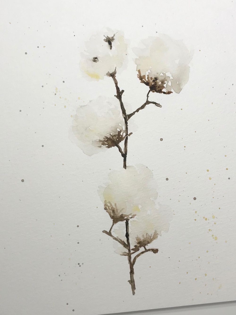 Cotton - image 1 - student project
