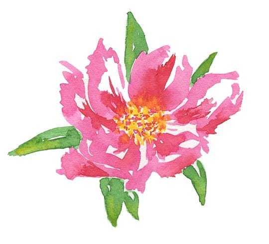 Loose Floral Exploration - image 1 - student project