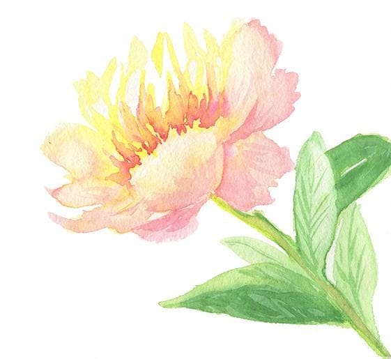 Loose Floral Exploration - image 2 - student project