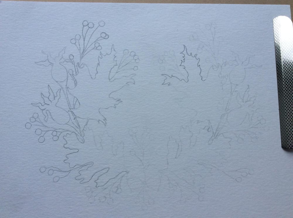 Acorns and pods - image 1 - student project