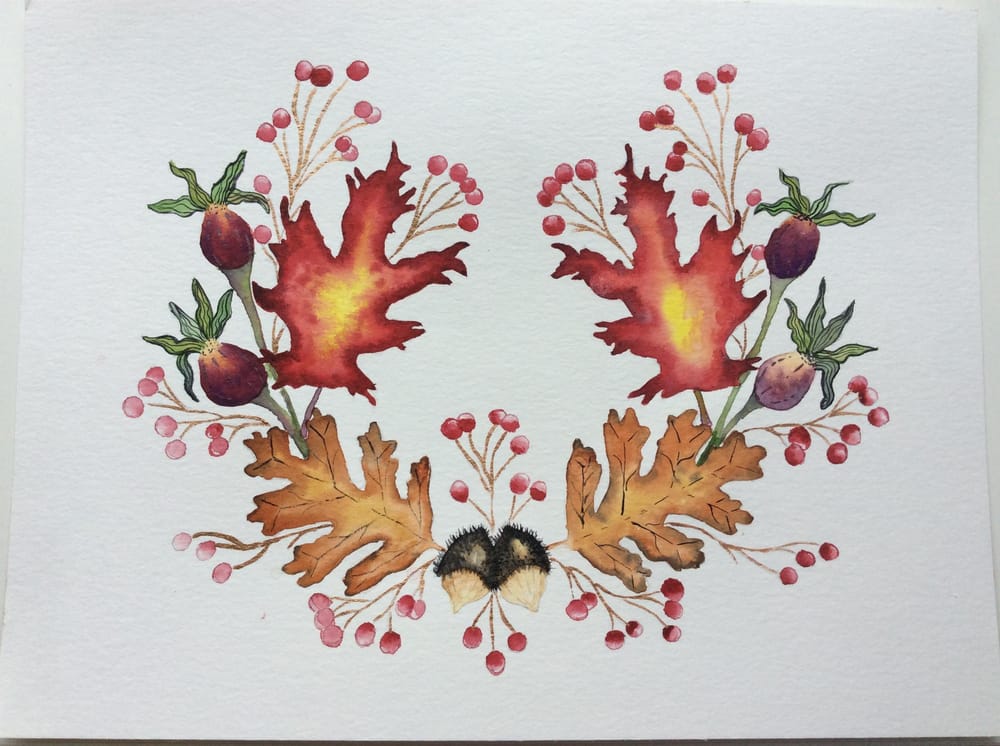 Acorns and pods - image 3 - student project