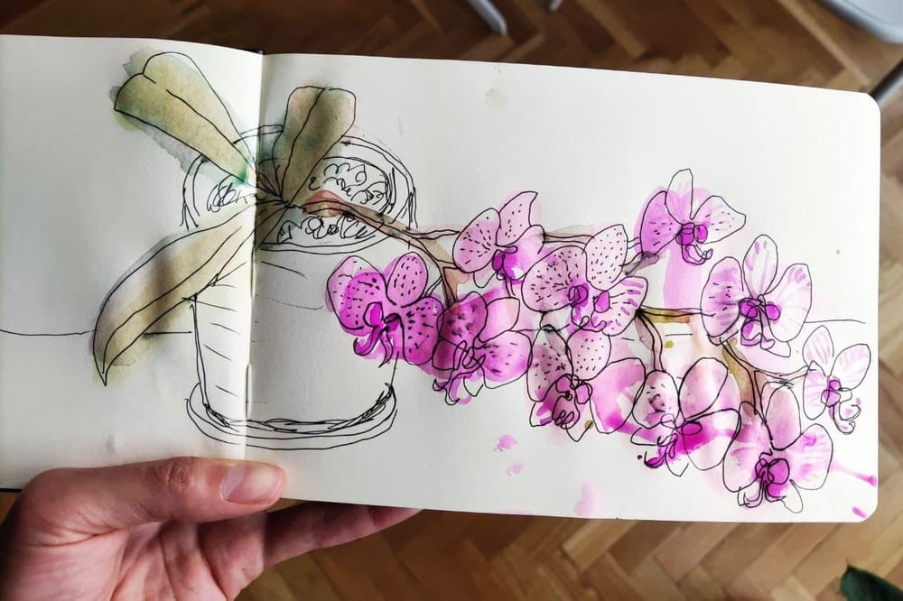 My orchid is in bloom! - image 3 - student project