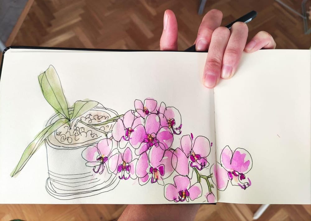My orchid is in bloom! - image 2 - student project