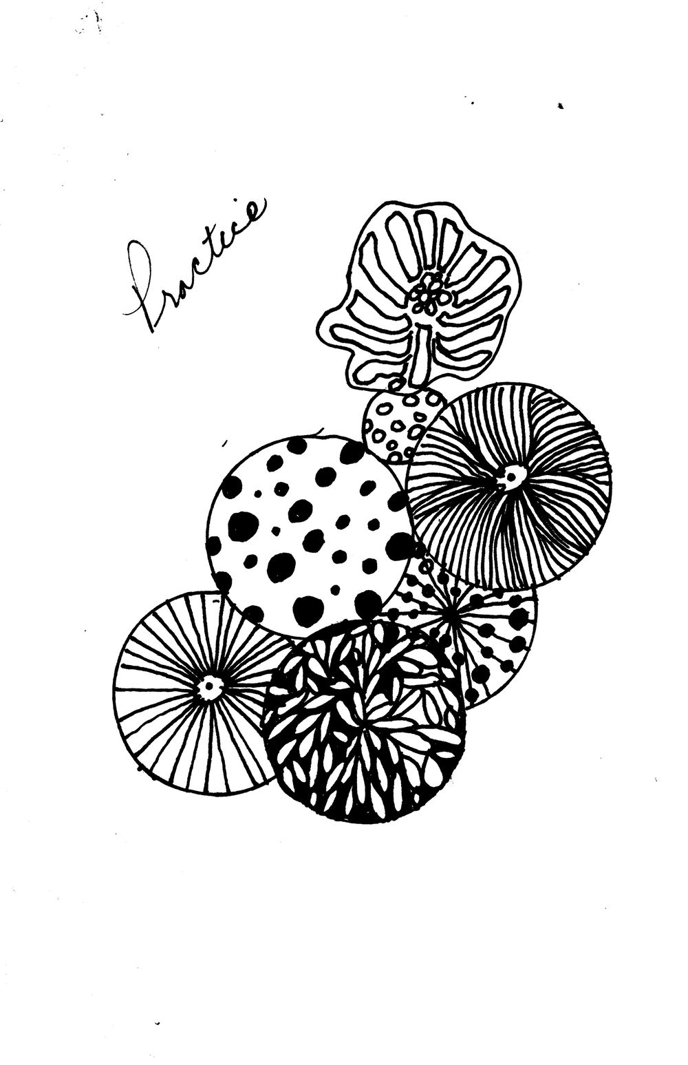 Practice Line drawing florals - image 1 - student project