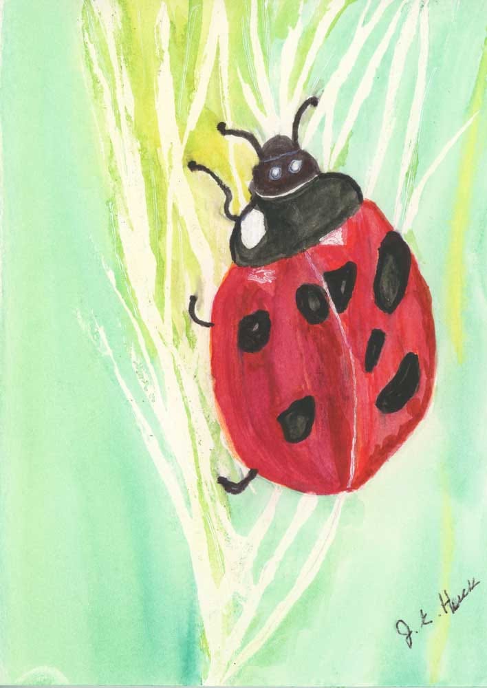 Ladybug Project - image 1 - student project