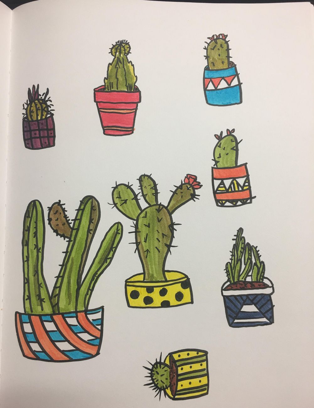 Cacti love - image 2 - student project