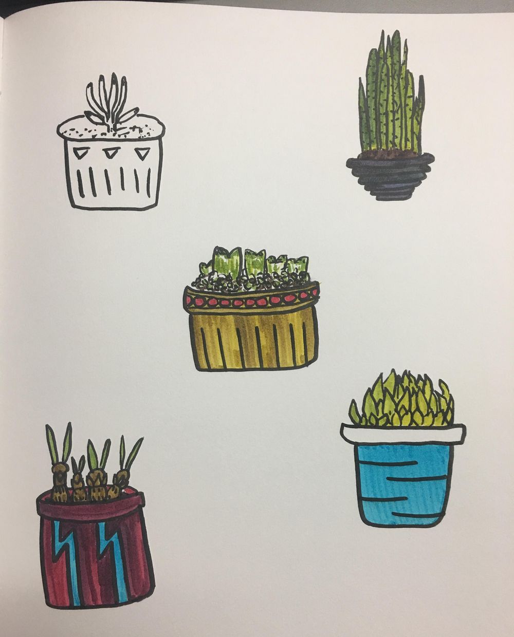 Cacti love - image 4 - student project