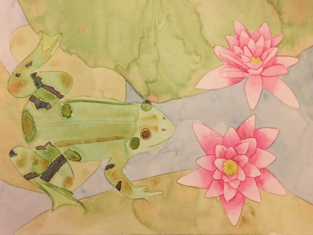 Lily Frog - image 4 - student project