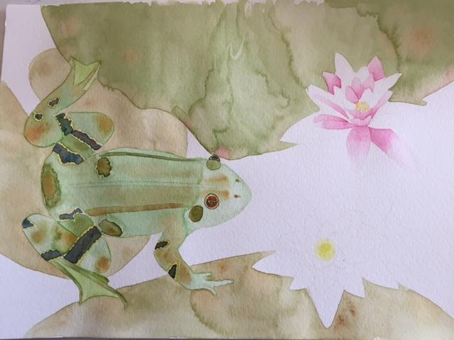 Lily Frog - image 3 - student project
