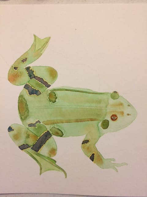 Lily Frog - image 2 - student project