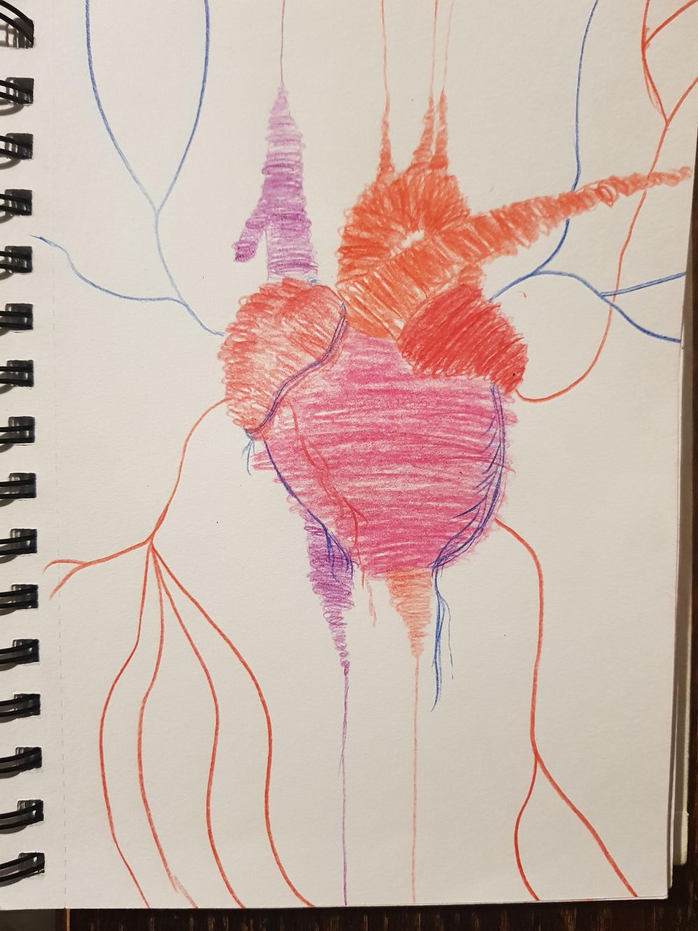 My 14 day journey - image 5 - student project