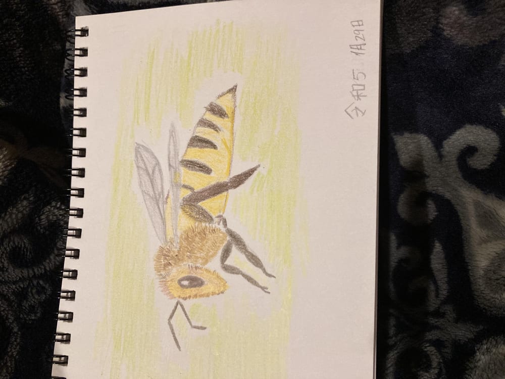 Bee Drawing - image 1 - student project
