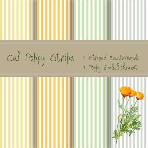 Cal Poppy Stripe - image 1 - student project