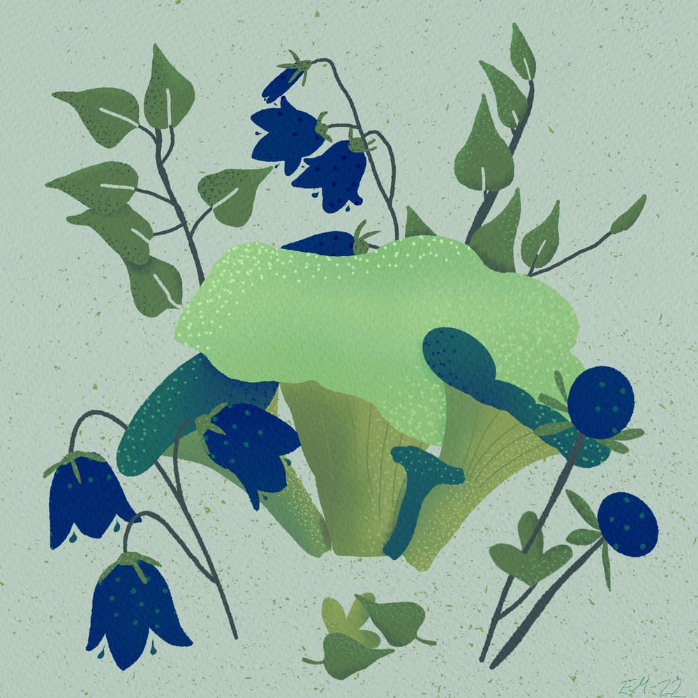 Blooms and shrooms Skillshare Student Project