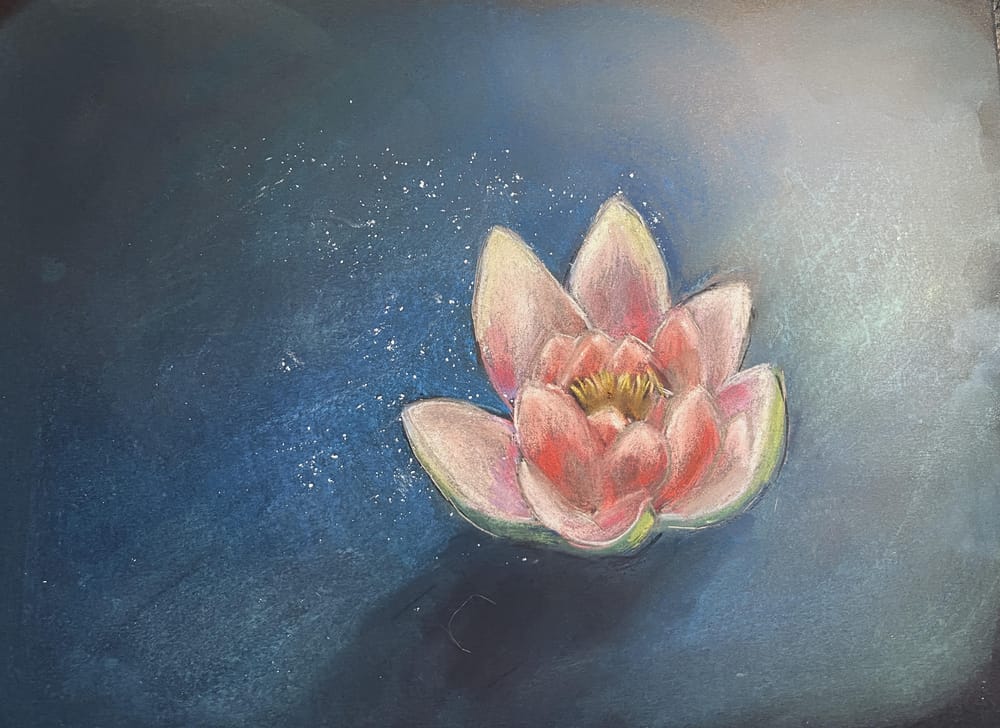 Water lily with soft pastels - image 1 - student project