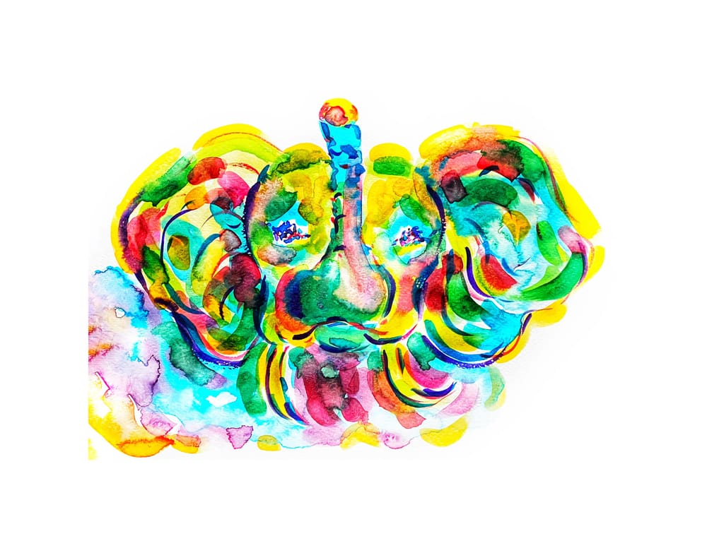 Elephant Watercolor - image 2 - student project