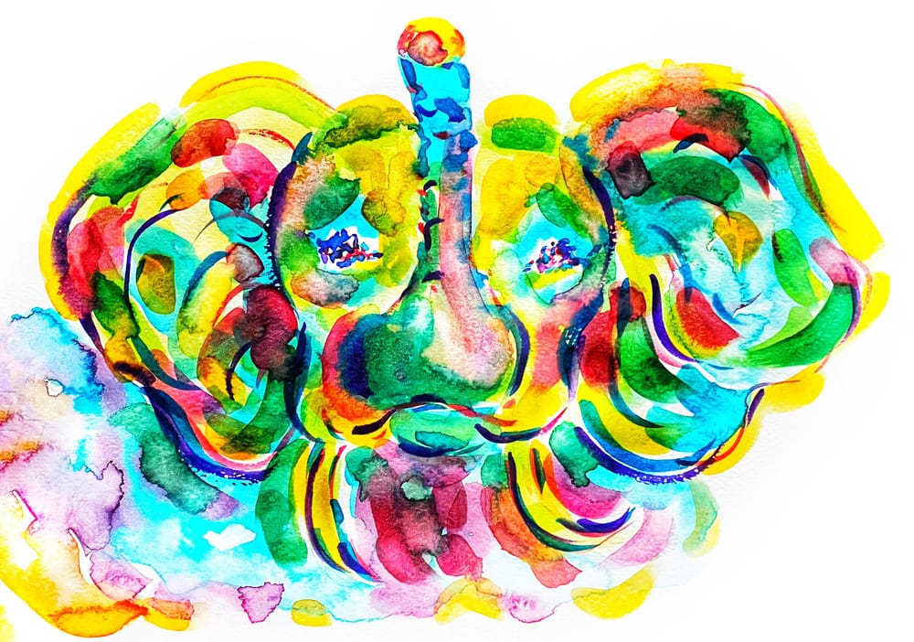 Elephant Watercolor - image 1 - student project