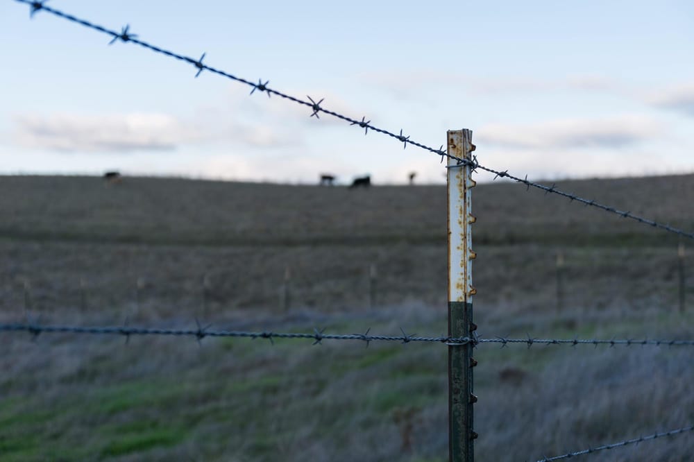 East Bay Hills - image 1 - student project