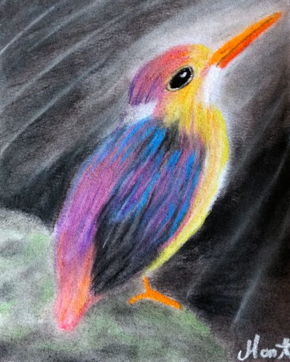 Bird - image 1 - student project