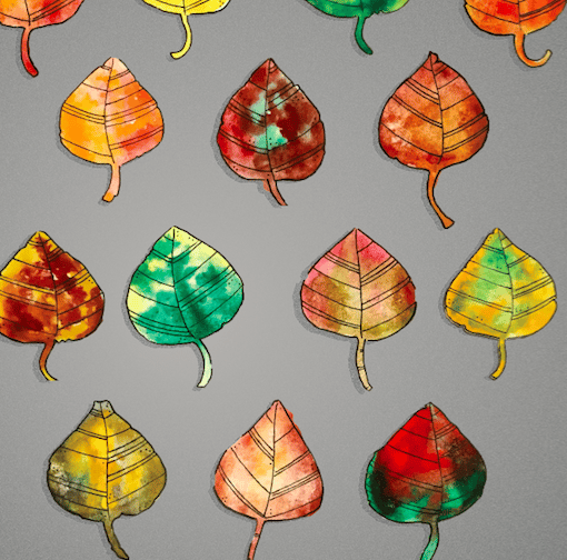 Autumn Leaves - image 5 - student project