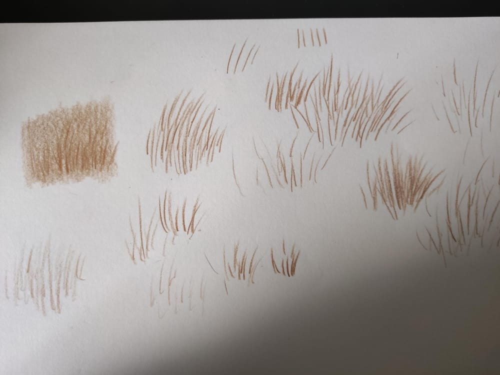 Fur practice - image 1 - student project