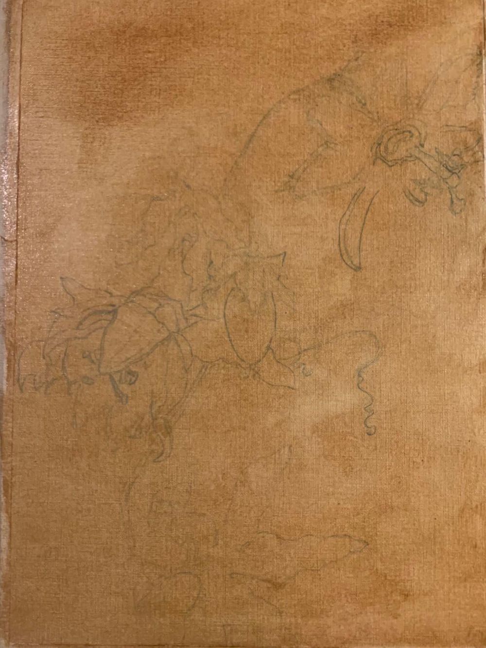 Passiflora toning - image 1 - student project