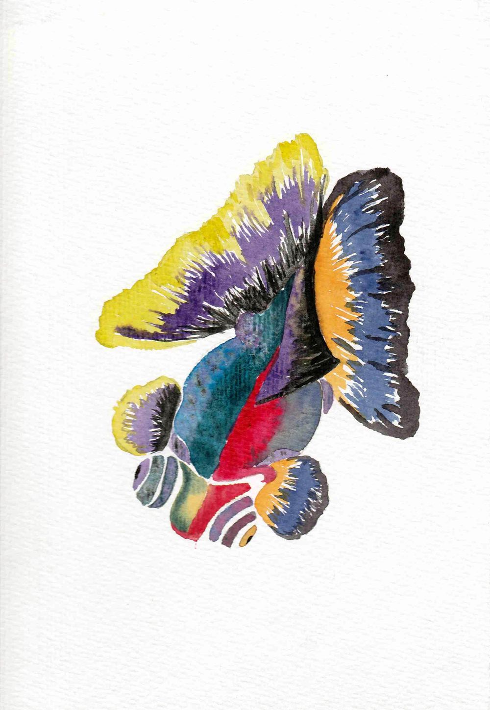 Swallowtail Goldfish - image 3 - student project