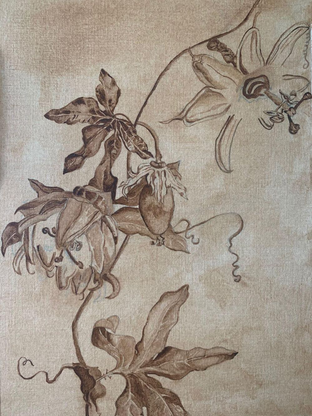 Antique underpainting of passiflora - image 1 - student project