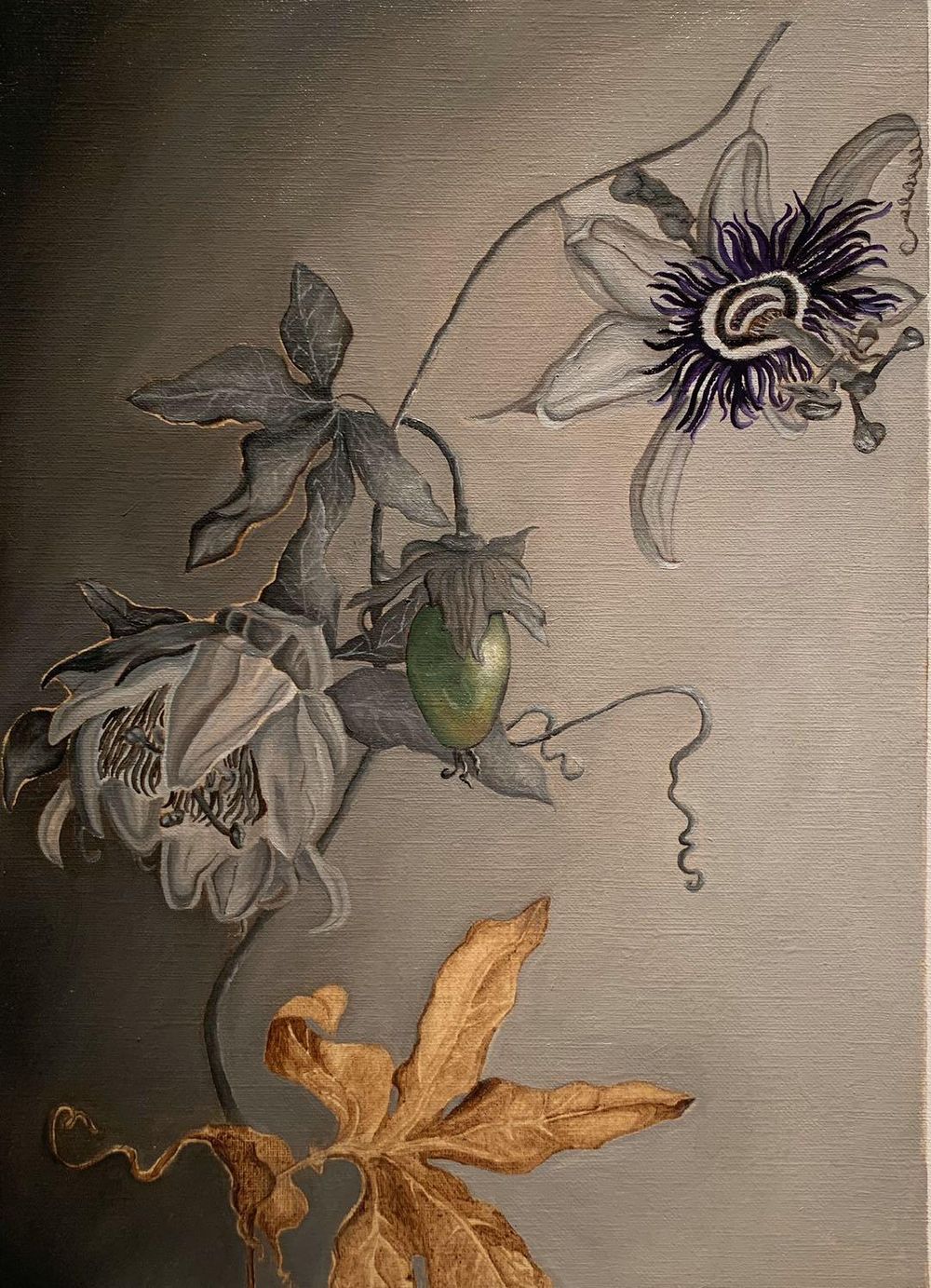 Passiflora Grisaille - image 2 - student project