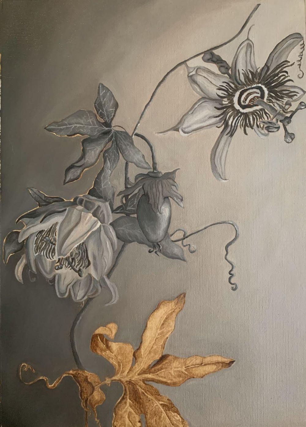 Passiflora Grisaille - image 1 - student project