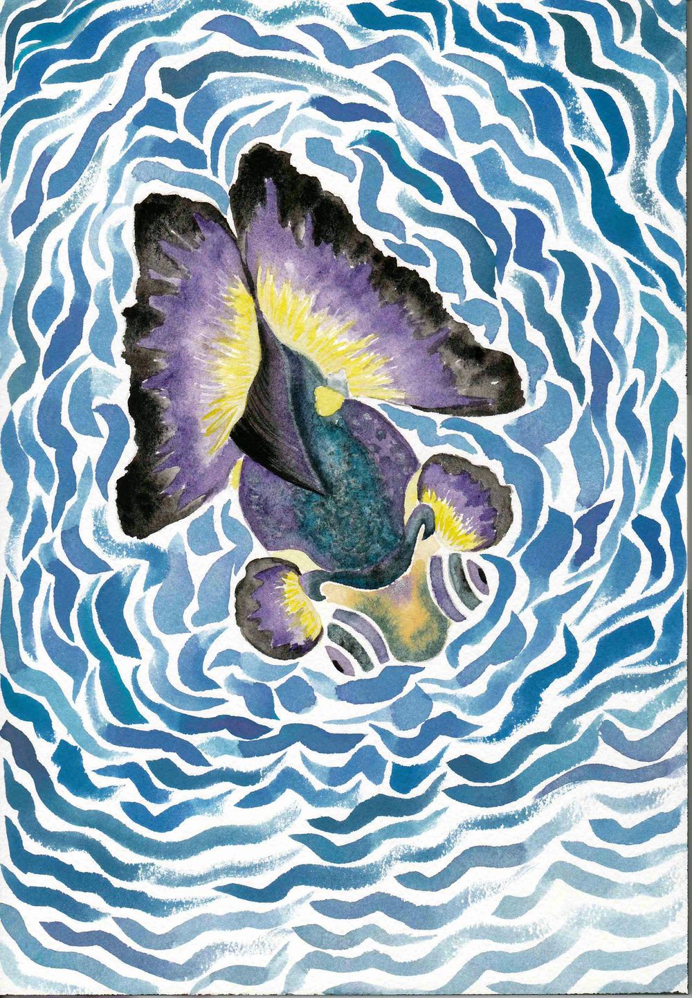 Swallowtail Goldfish - image 4 - student project