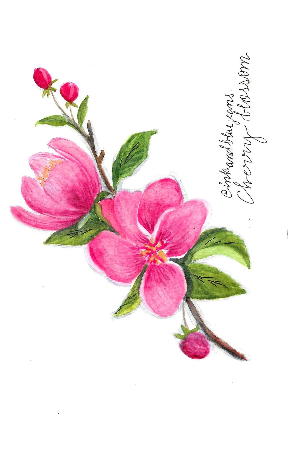 Blossoms - Three Styles - image 1 - student project