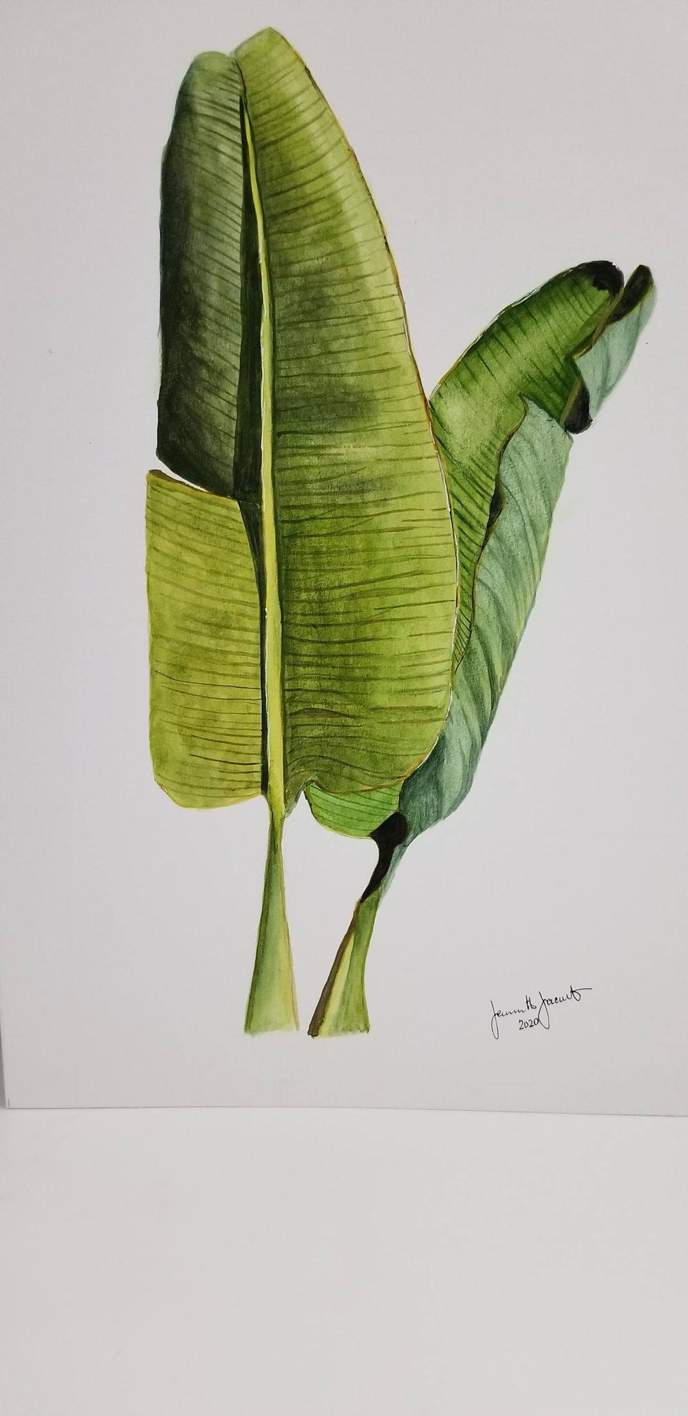 Watercolor Botanical - image 1 - student project