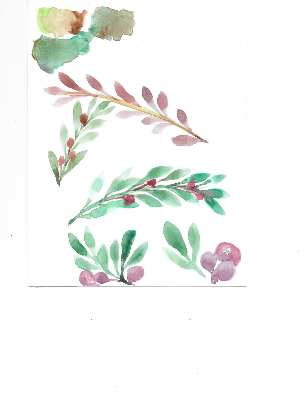 Olive Branch & Flowers - image 1 - student project
