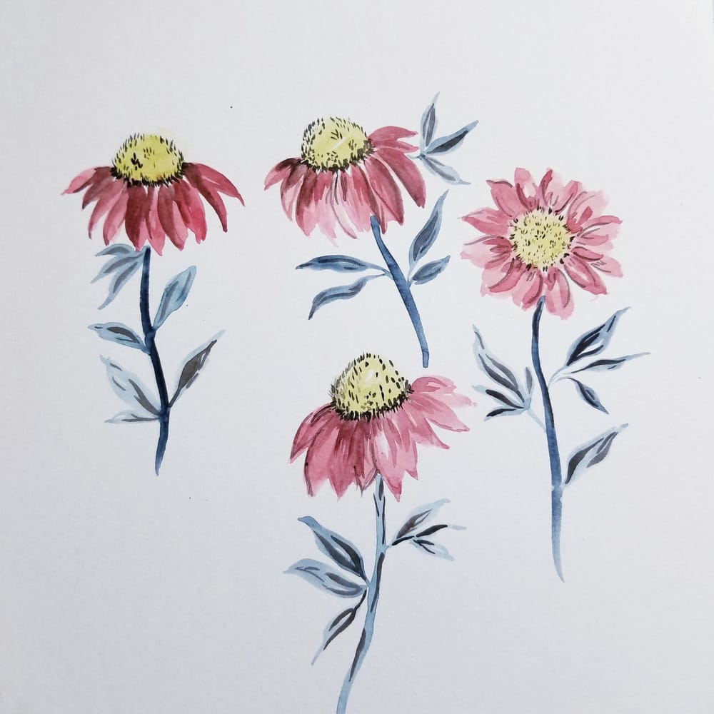 Watercolor Cone Flowers - image 2 - student project