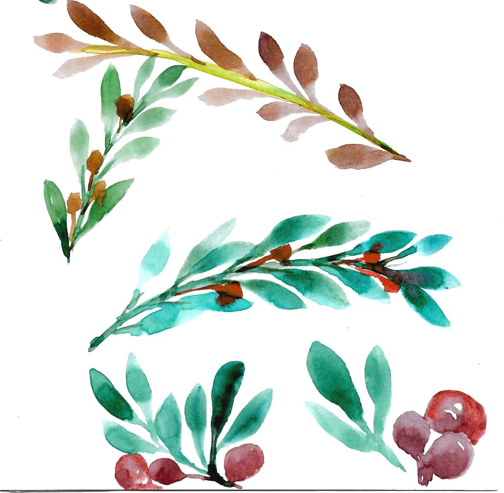 Olive Branch & Flowers - image 2 - student project