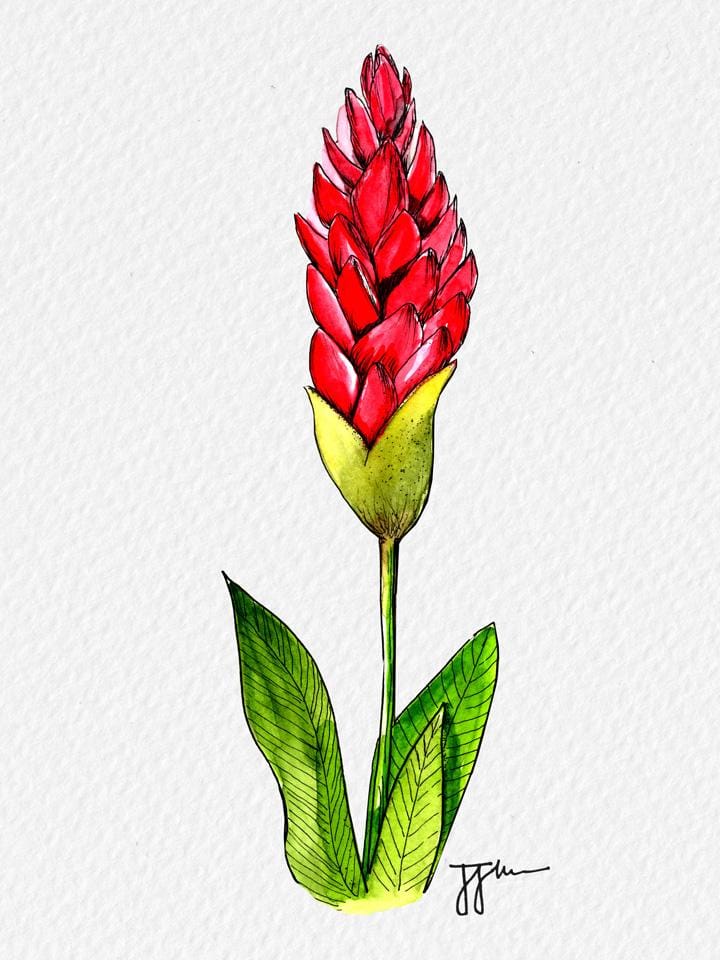 Selling Art Prints & Patterns Online - image 3 - student project