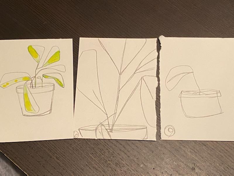 Little Plant Pots - image 2 - student project