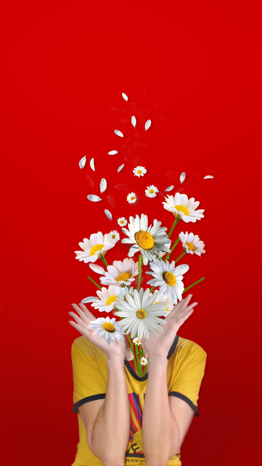 margarida - image 1 - student project