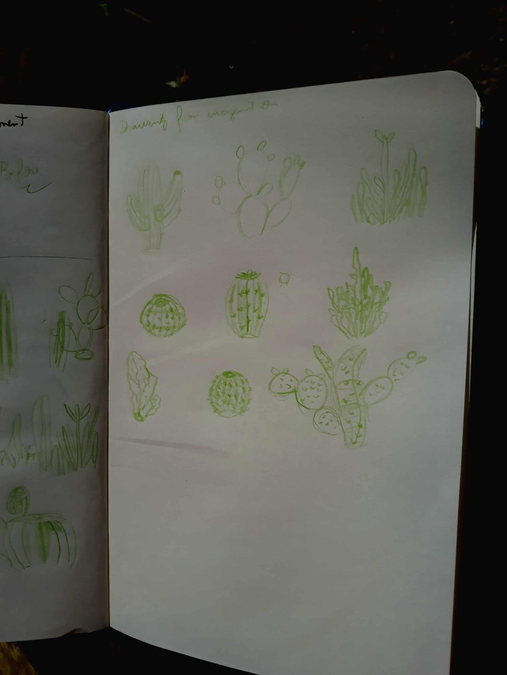 A cactus experience - image 3 - student project