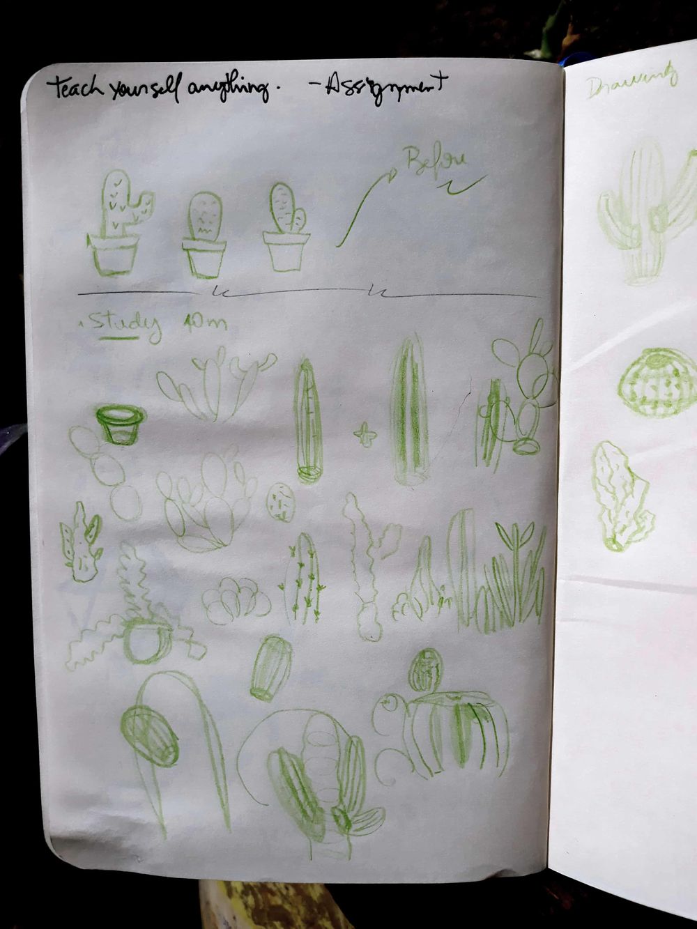 A cactus experience - image 2 - student project