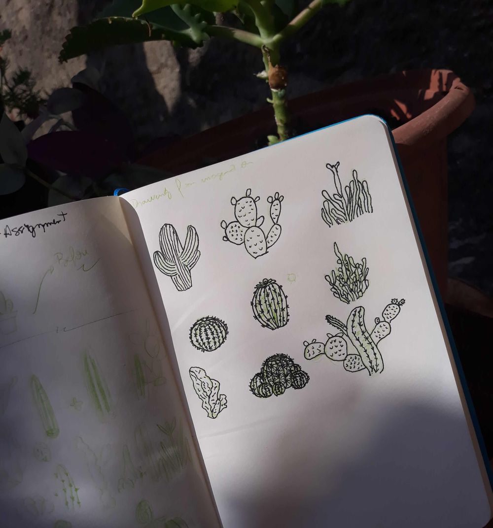 A cactus experience - image 4 - student project