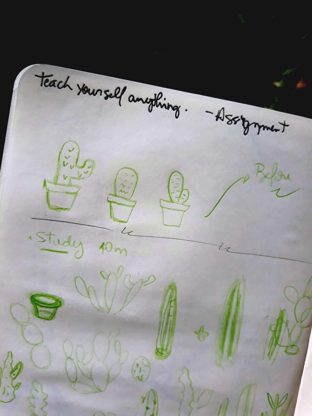 A cactus experience - image 1 - student project