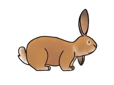 Bunnies ! by Marie, 12 years old | Skillshare Student Project Bunnies ! by Marie, 12 years old | Skillshare Student Project
