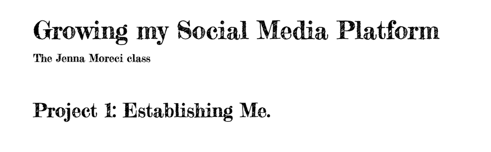 Growing my Platform: Art and Writing - image 1 - student project